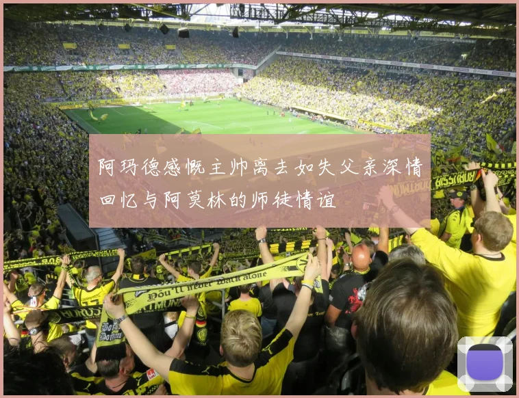阿玛德感慨主帅离去如失父亲深情回忆与阿莫林的师徒情谊